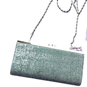Silver Evening Bag